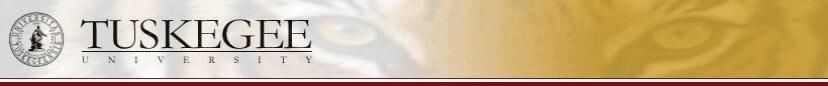 seanheader